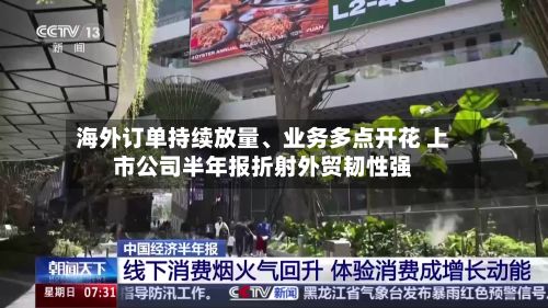 海外订单持续放量、业务多点开花 上市公司半年报折射外贸韧性强-第3张图片