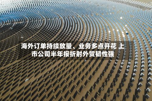 海外订单持续放量	、业务多点开花 上市公司半年报折射外贸韧性强-第2张图片