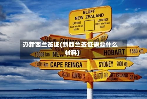 办新西兰签证(新西兰签证需要什么材料)-第3张图片