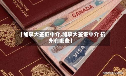 【加拿大签证中介,加拿大签证中介 杭州有哪些】-第2张图片