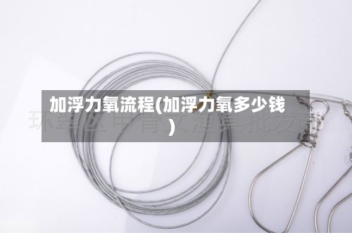 加浮力氧流程(加浮力氧多少钱)-第2张图片