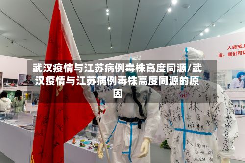 武汉疫情与江苏病例毒株高度同源/武汉疫情与江苏病例毒株高度同源的原因-第2张图片