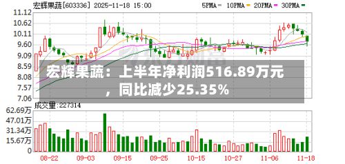 宏辉果蔬：上半年净利润516.89万元，同比减少25.35%-第2张图片