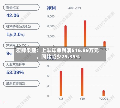 宏辉果蔬：上半年净利润516.89万元	，同比减少25.35%-第3张图片