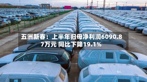 五洲新春:上半年归母净利润6090.87万元 同比下降19.1%-第2张图片