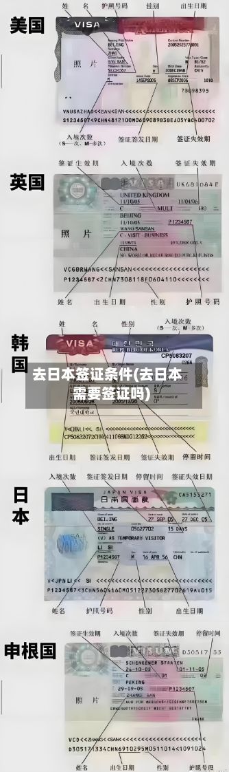 去日本签证条件(去日本需要签证吗)