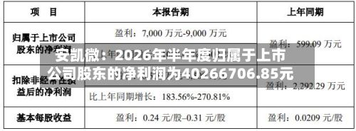 安凯微:2026年半年度归属于上市公司股东的净利润为40266706.85元-第2张图片