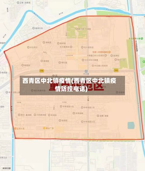 西青区中北镇疫情(西青区中北镇疫情防控电话)-第3张图片