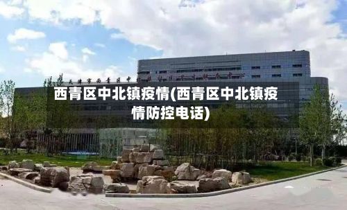 西青区中北镇疫情(西青区中北镇疫情防控电话)