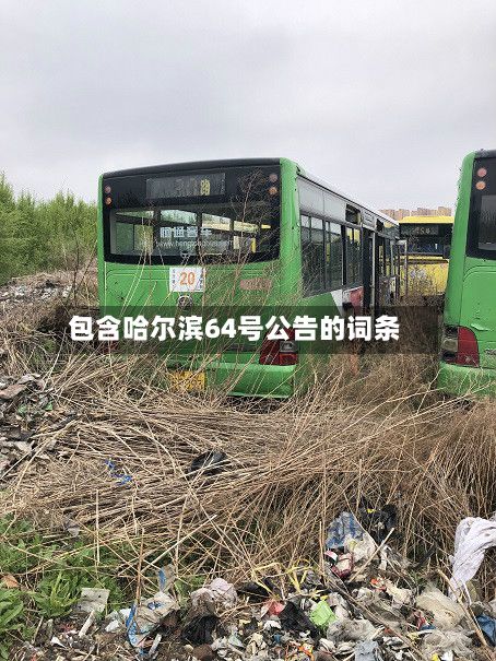 包含哈尔滨64号公告的词条-第3张图片
