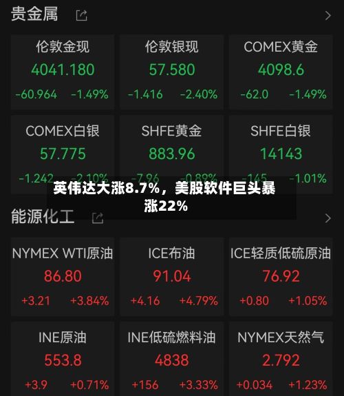 英伟达大涨8.7%,美股软件巨头暴涨22%