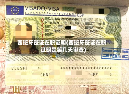 西班牙签证在职证明(西班牙签证在职证明是第几天审查)-第2张图片