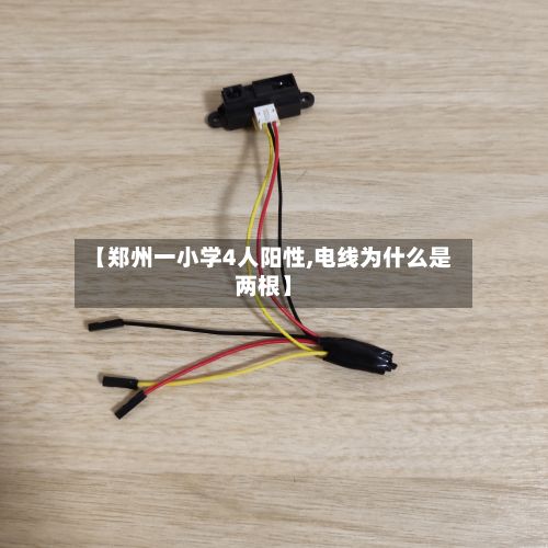 【郑州一小学4人阳性,电线为什么是两根】-第2张图片