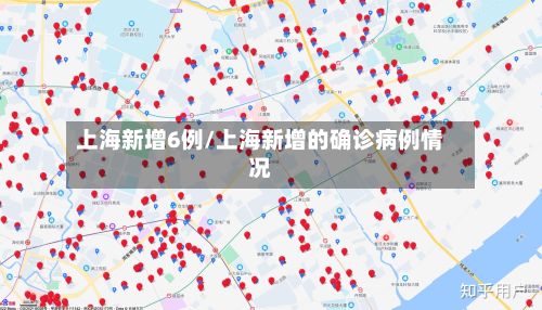 上海新增6例/上海新增的确诊病例情况-第2张图片