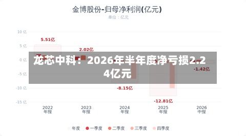 龙芯中科：2026年半年度净亏损2.24亿元-第2张图片