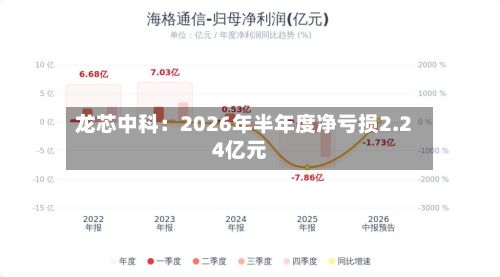 龙芯中科：2026年半年度净亏损2.24亿元-第3张图片