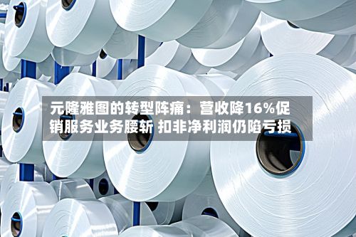 元隆雅图的转型阵痛：营收降16%促销服务业务腰斩 扣非净利润仍陷亏损