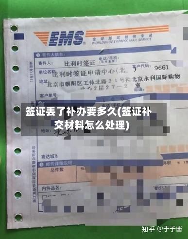 签证丢了补办要多久(签证补交材料怎么处理)
