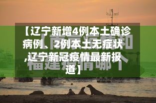 【辽宁新增4例本土确诊病例、2例本土无症状,辽宁新冠疫情最新报道】-第3张图片