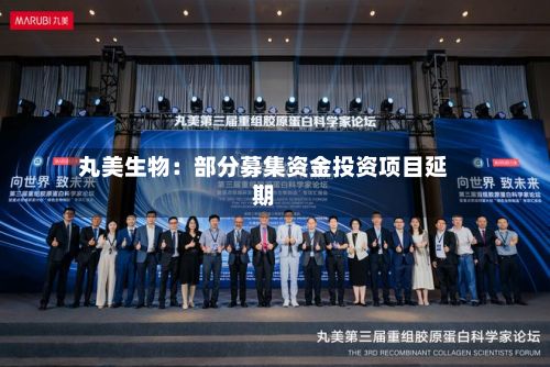 丸美生物：部分募集资金投资项目延期