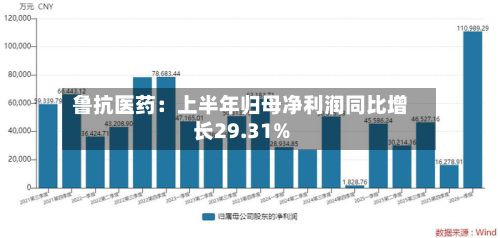 鲁抗医药:上半年归母净利润同比增长29.31%