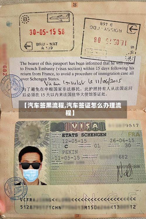 【汽车签黑流程,汽车签证怎么办理流程】-第2张图片