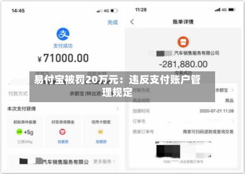 易付宝被罚20万元:违反支付账户管理规定-第3张图片