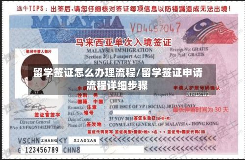 留学签证怎么办理流程/留学签证申请流程详细步骤