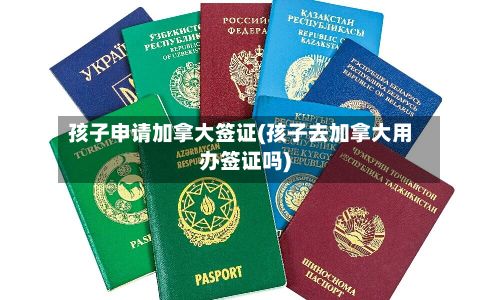 孩子申请加拿大签证(孩子去加拿大用办签证吗)-第3张图片