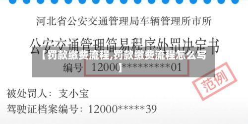 【罚款缴费流程,罚款缴费流程怎么写】-第3张图片