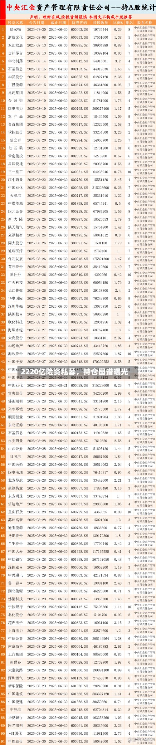 2220亿险资私募，持仓图谱曝光-第2张图片