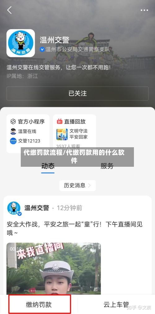 代缴罚款流程/代缴罚款用的什么软件-第3张图片