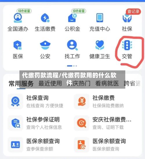 代缴罚款流程/代缴罚款用的什么软件-第2张图片