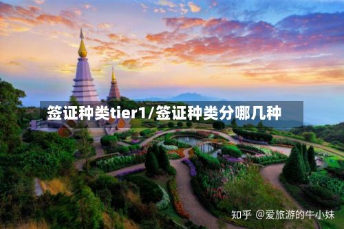 签证种类tier1/签证种类分哪几种-第2张图片