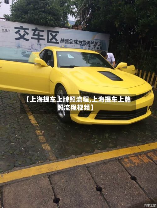 【上海提车上牌照流程,上海提车上牌照流程视频】