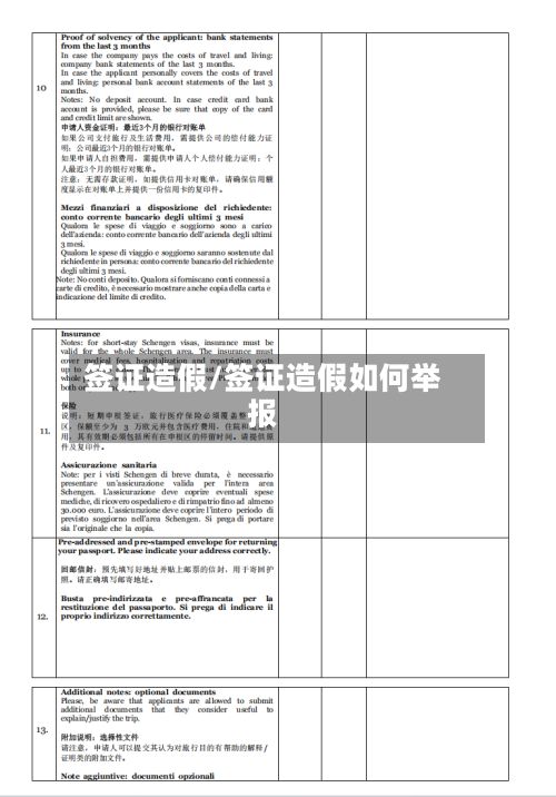 签证造假/签证造假如何举报-第3张图片