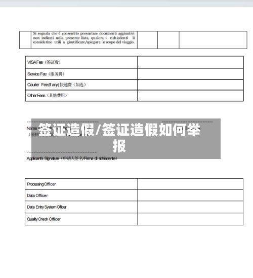 签证造假/签证造假如何举报-第2张图片