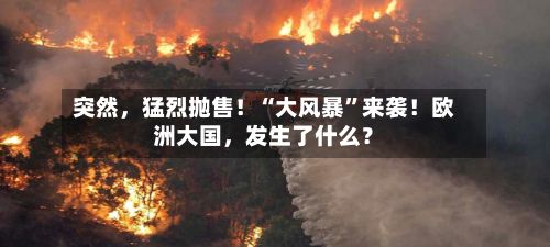 突然，猛烈抛售！“大风暴”来袭！欧洲大国，发生了什么？