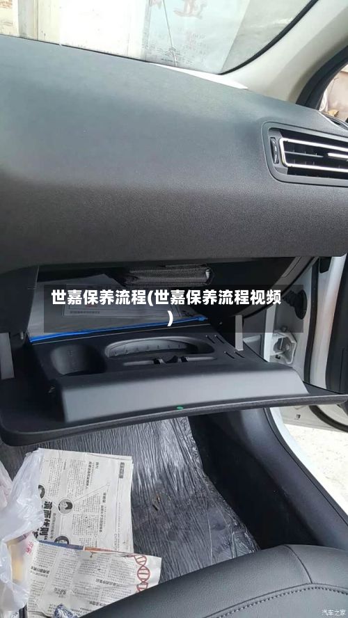 世嘉保养流程(世嘉保养流程视频)-第2张图片