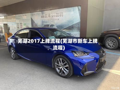 芜湖2017上牌流程(芜湖市新车上牌流程)-第2张图片