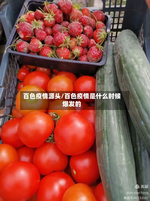 百色疫情源头/百色疫情是什么时候爆发的-第2张图片