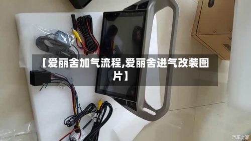 【爱丽舍加气流程,爱丽舍进气改装图片】