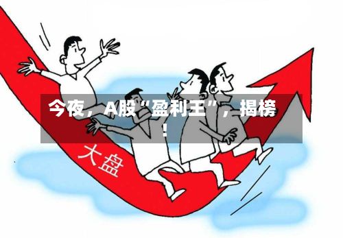 今夜，A股“盈利王”，揭榜！