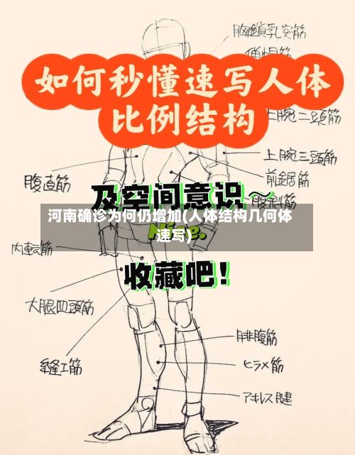 河南确诊为何仍增加(人体结构几何体速写)