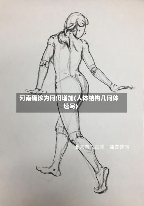 河南确诊为何仍增加(人体结构几何体速写)-第2张图片
