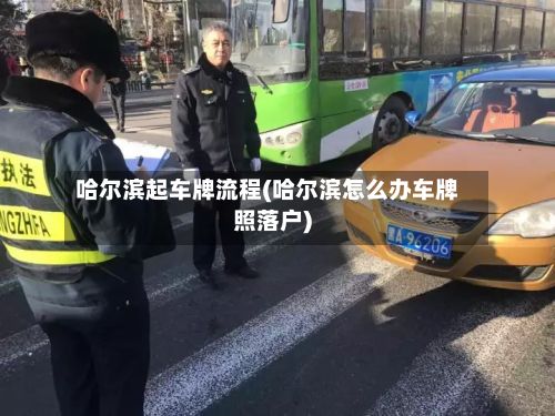 哈尔滨起车牌流程(哈尔滨怎么办车牌照落户)-第3张图片