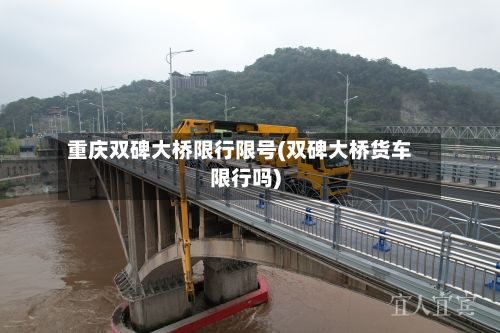 重庆双碑大桥限行限号(双碑大桥货车限行吗)