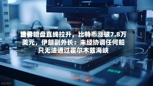 世界油价暗盘直线拉升，比特币涨破7.8万美元，伊朗副外长：未经协调任何船只无法通过霍尔木兹海峡