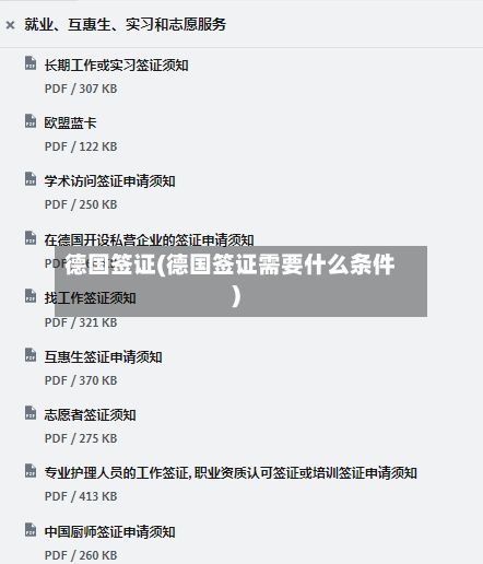德国签证(德国签证需要什么条件)