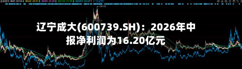辽宁成大(600739.SH):2026年中报净利润为16.20亿元-第3张图片